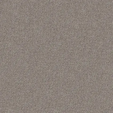 Bayshore carpet swatch